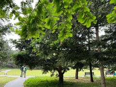 -国家植物园南园