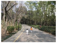 -深圳国际园林花卉博览园