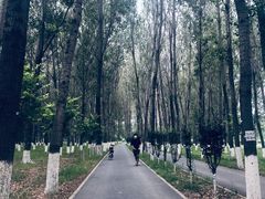 -东郊湿地公园
