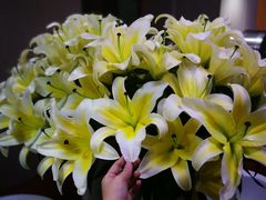 -农汤老店(顺联公园里店)