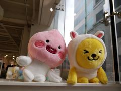 -KAKAO FRIENDS(弘大店)