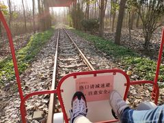 -合肥滨湖国家森林公园