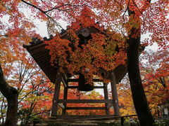 -常寂光寺