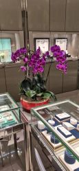 点击看大图 -周生生Chow Sang Sang(苏州美罗高新店)