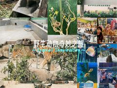 -荆州中山公园动物园