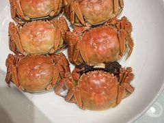 -渔人码头(中南店)