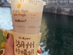 -猫的魔法密林(衣裳街店)