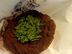 -喜茶(迪士尼小镇DP店)
