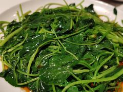 橄榄菜-沈大成(南京东路店)