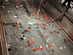 -四季民福烤鸭店(前门店)