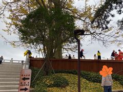 -径山寺