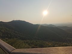 -灵顺寺