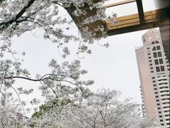 -上海世纪汇广场