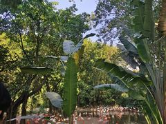 -广交会威斯汀酒店