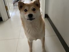 -北京佳信宠物医院
