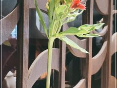 -香融府·烤鸭·家常菜(花乡奥莱店)