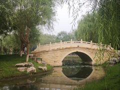 -北坞公园