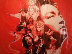 -为你钟情咖啡馆(春熙路太古里步行街店)