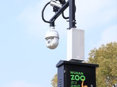 -武汉动物园