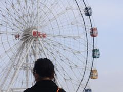 -奉贤海滩