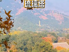 -香山公园