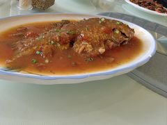 -玉雪春天(中正花园店)