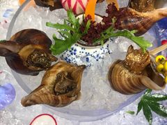 冰镇矶煮小海螺-古田居·特色寿司料理(星之岛旗舰店)