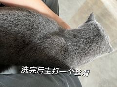 -瑞鹏宠物医院·夜间急症·心超·猫科(祖庙分店)