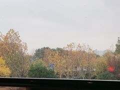 -世博洲际酒店-盛会堂中餐厅