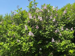 -白草畔自然风景区