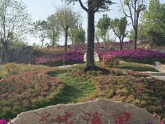-沂蒙云瀑洞天景区