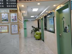 -半岛宠物医院24小时·内窥镜·牙科·碎石中心(府城大道店)