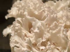-腾格里· 蒙古山羊火锅(北京中关村店)