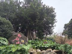 -乌山风景区