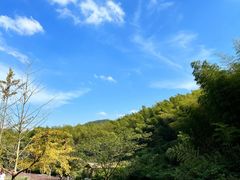 -宁波浙东大竹海景区