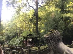 -青城山