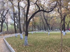 -丰台花园