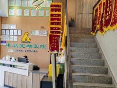 -半岛宠物医院24小时·内窥镜·牙科·碎石中心(府城大道店)