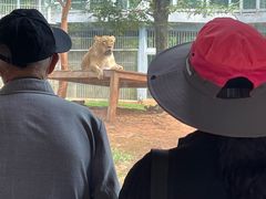 -昆明动物园