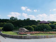 -嘉定紫藤园