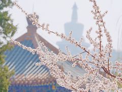 -北海公园