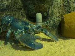 -大连老虎滩海洋公园