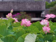 -和顺古镇