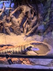 -酷嗒动物文化乐园(cutezoo西溪乐天城店)