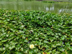 -泰安地下龙宫景区