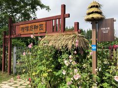 -上海长兴岛郊野公园