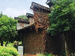 -韩湘水博园