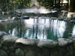 android_upload_pic-金方森林温泉