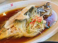 清蒸鲑鱼-怡园饭店-餐厅(四望亭店)