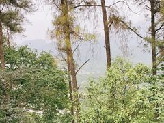 -都江堰景区